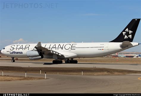 D AIGC Airbus A340 311 Lufthansa Mike MacKinnon JetPhotos