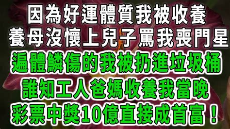 因為好運體質我被收養，養母因沒懷上兒子罵我喪門星，遍體鱗傷的我被扔進垃圾桶！誰知工人爸媽收養我當晚！彩票中獎10億直接成首富！ 中老年心語 深夜讀書 幸福人生 花開富貴 深夜淺讀【荷上清