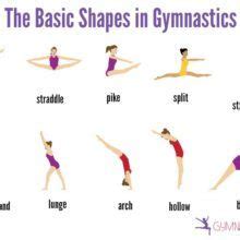 The Basic Shapes in Gymnastics | Gymnastics workout, Gymnastics lessons ...