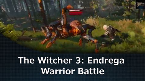 The Witcher 3 Endrega Warrior Battle Youtube