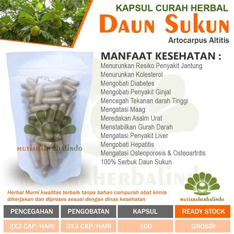 Jual Daun Sukun Kapsul Herbal Osteoporosis Jantung Maag Liver