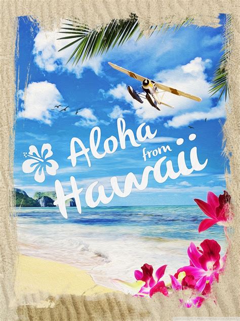 aloha wallpaper wallpapersafari