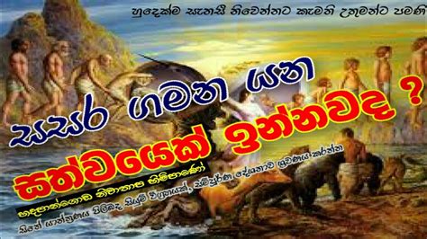 සසර ගමන යන සත්වයෙක් ඉන්නවද Hadapangoda Niwathapa Thero Pahura පහුර Dharmayai Obai Youtube