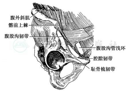疾病详情-疾病-人卫临床助手-人民卫生出版社