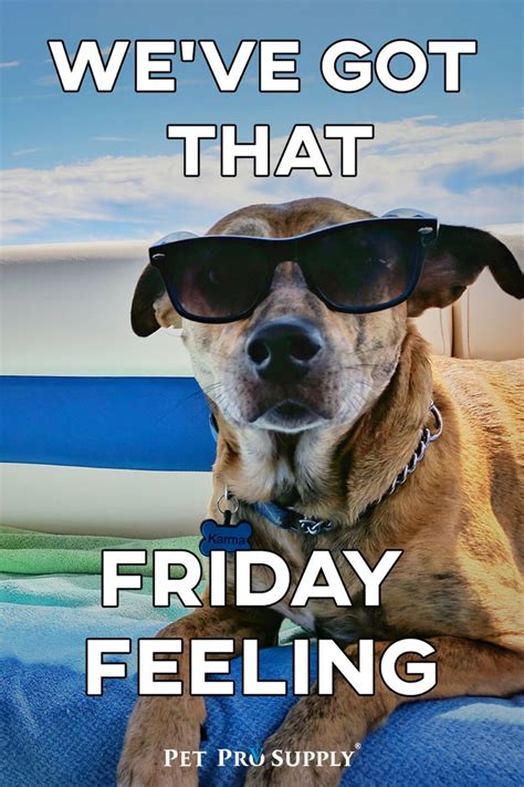 It’s friday 😎 in 2023 | Funny friday memes, Friday humor, Friday meme