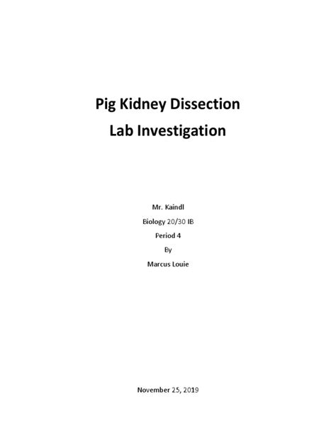 Pig Kidney Dissection | PDF | Kidney | Urinary System