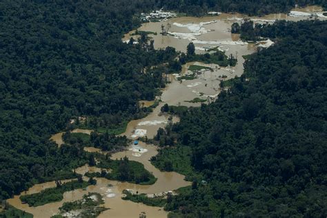 Rea De Garimpo Em Terras Ind Genas Cresceu Desde