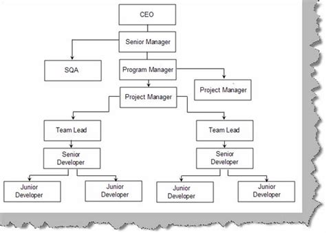 Portable Designation Hierarchy In Software Companies