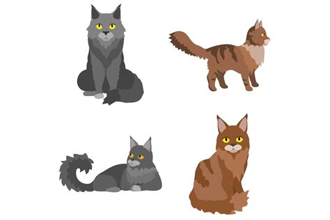 Maine Coon Icons Set Flat Style Graphic By Nsit Creative Fabrica