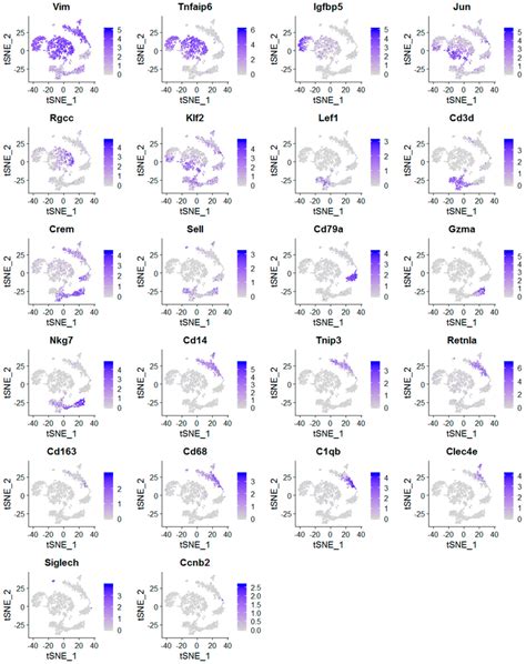 Expression Profiles Of Cell Type Specific Marker Genes In Mammary Cell