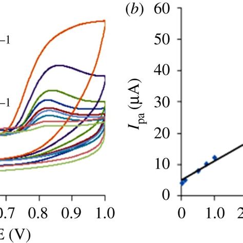 A Cyclic Voltammograms Of 50 × 10⁻⁵ Mol L⁻¹ Phe In Phosphate Mixture