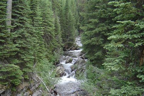 Rattlesnake Creek Dam Removal The Conservation Alliance