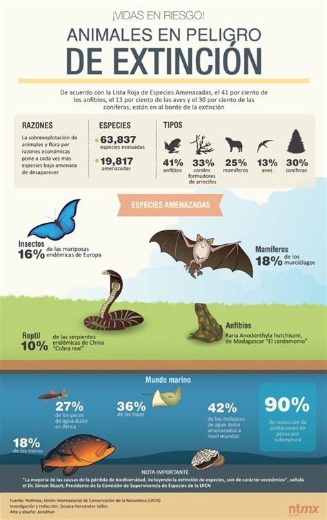 Infografía Sobre Animales En Peligro De Extinguirse Imágenes Y Noticias