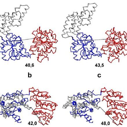 Helicase function on DNA. (A) Structure of Hel308 helicase with ...