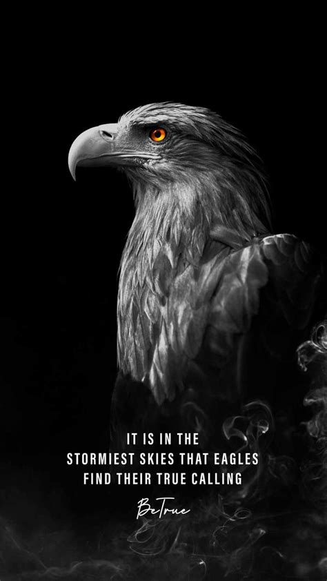 🔥 [20+] Eagle Quotes Wallpapers | WallpaperSafari