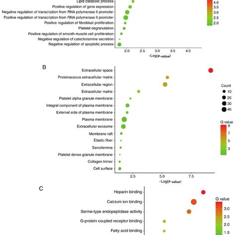 Gene Ontology Analysis Including A Biological Process B Cell Download Scientific Diagram