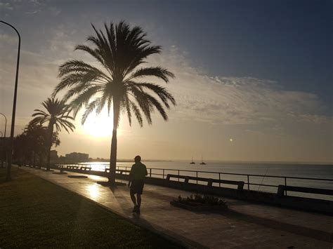 Melina Au Zafiro Palma Marathon Pour Courir Son Premier 21 097 Km