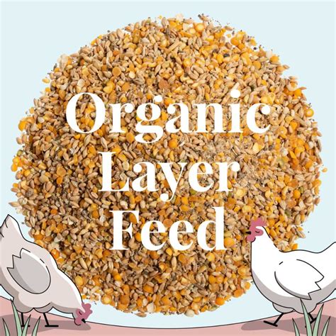 Layer Chicken Feed | Organic, Non-GMO, Corn & Soy-Free Chicken Feed ...