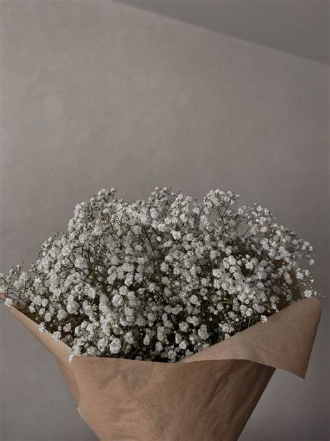 Boquette Flowers Babys Breath Flowers Beautiful Bouquet Of Flowers