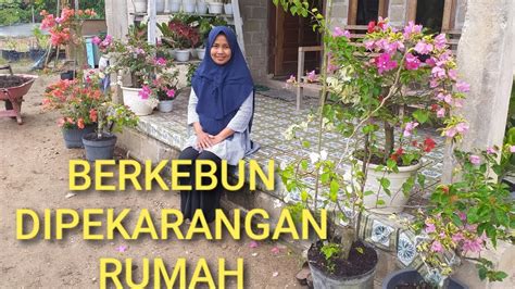 Berkebun Di Pekarangan Rumah Youtube