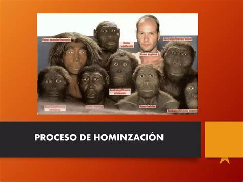 Proceso De Hominizaci N Ppt Descarga Gratuita