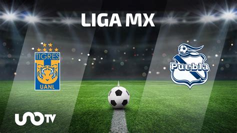 Tigres Vs Puebla En Vivo Fecha Y Hora Para Ver El Partido De La Jornada 16