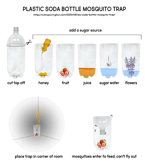 Plastic Soda Bottle Mojito Trap Diagram With Instructions To Make It