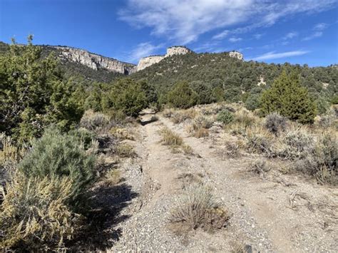 South Ruby Mountains And Ruby Marshes Such A Nevada Treasure Rnevadanature