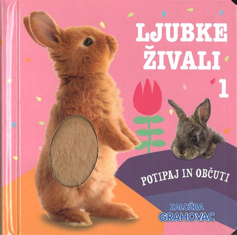 Ljubke Ivali