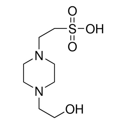 HPLC Methods for analysis of HEPES - HELIX Chromatography