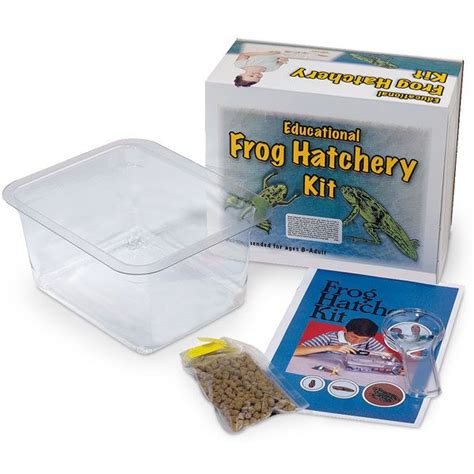 Learn About The Amazing Metamorphosis Of Frogs With The Frog Hatchery Kit See Tiny Embryos Or