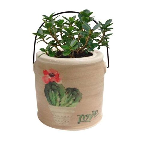 Cachepot Cerâmica Round Can Desert Cactus Urban MadeiraMadeira