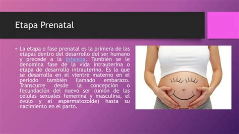 Etapas Del Desarrollo Humano Prenatal Infancia Y Niñez