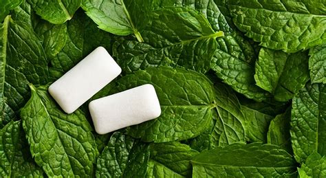 The Benefits Of Xylitol For Your Dental Health Available Online