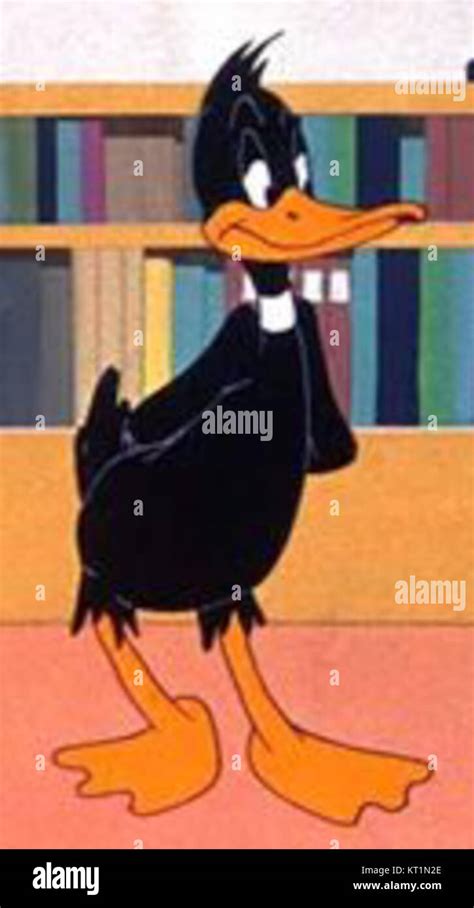 Daffy Duck Hi Res Stock Photography And Images Alamy