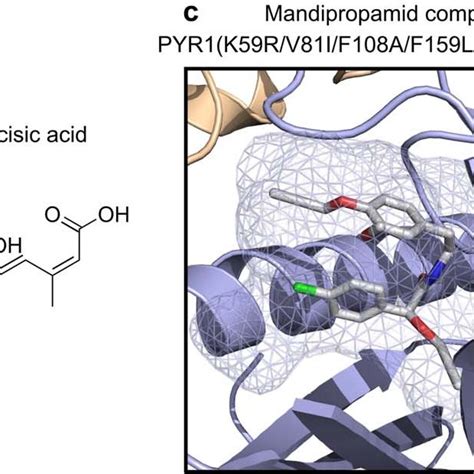 Nanobody Assisted Targeting Of Chemically Induced Protein Proximity A