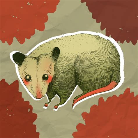 Tlacuache / Possum Sticker | Carolcoval