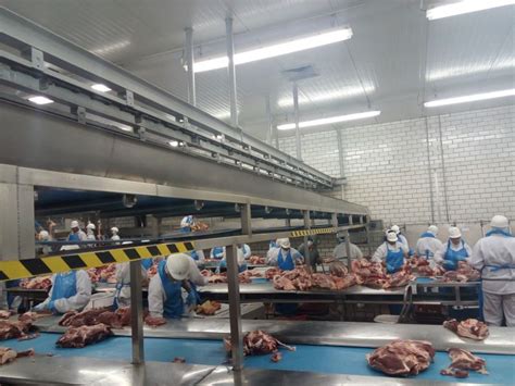 Seguran A E Sa De No Trabalho De Abate E Processamento De Carnes E