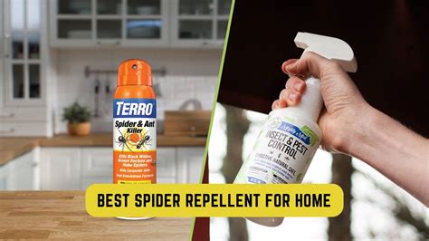 Top 7 Best Spider Repellent For Home Updated June 2023 Youtube