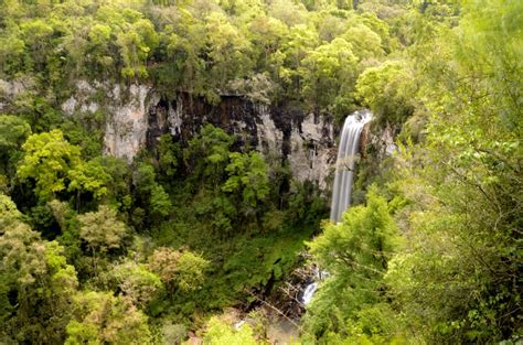 Fotos Gratis Bosque Cascada Aventuras R O Valle Corriente Selva