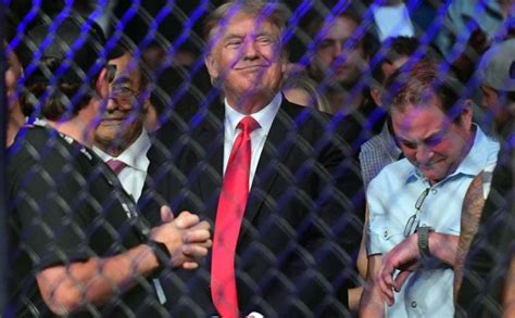 UFC Crowd ERUPTS When Donald Trump Enters To Sit Cage-Side! (Video ...