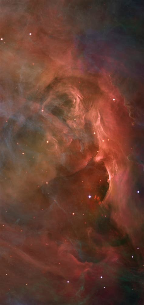 Orion Nebula Phone Wallpapers