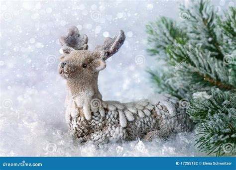 Reindeer With Snow Stock Photography - Image: 17255182