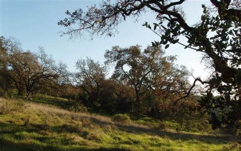 10 Sonoma County Hiking Trails with Insane Paranormal Activity