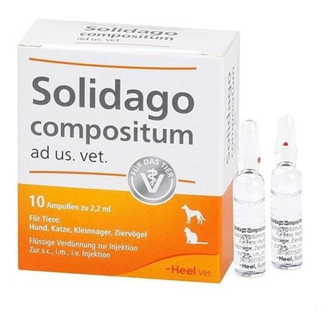 Solidago Compositum Heel Veterinario Protector Renal Cuotas sin interés