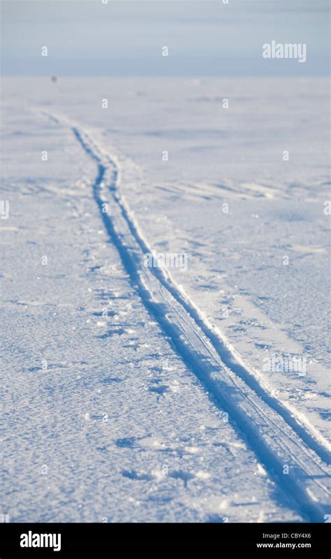 Cross Country Skiing Tracks At Baltic Sea Ice Gulf Of Bothnia