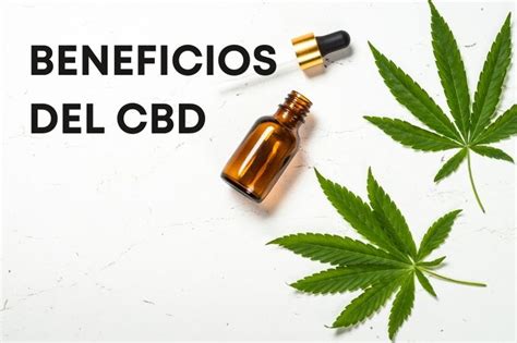 Los Beneficios Del Cbd Boticanna