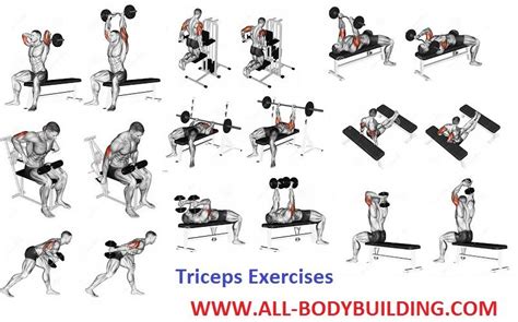 Triceps Exercises Muscle Building Workouts Triceps Workout Build