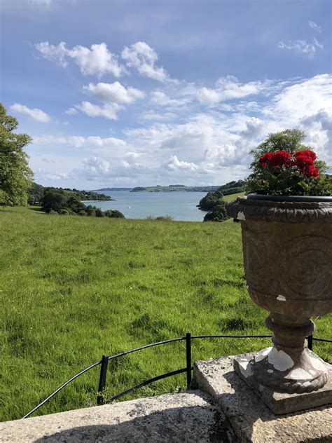 Trelissick Gardens. Glastonbury, Cornwall, England | Bird bath, Summer projects, Outdoor