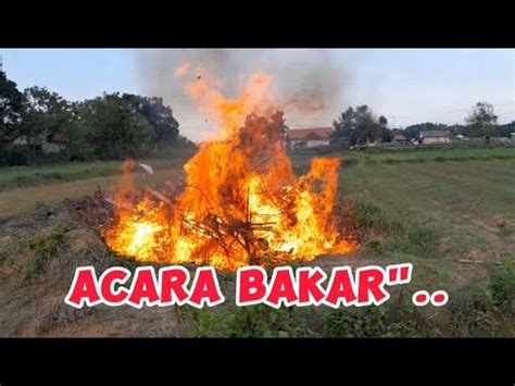 Si Jago Merah Youtube